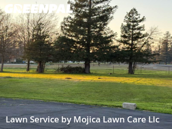 professional-lawn-care-service-in-Lincoln-CA