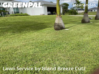 Lawn Cut nearby Cape Coral, FL, 
