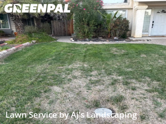 Work completed by grass-cutting-businesses-in-Tracy-CA