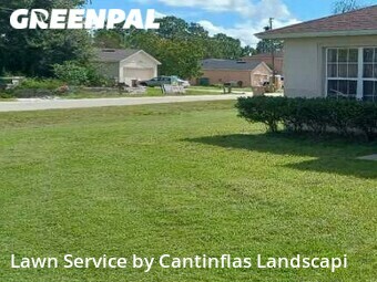 Lawn Mow nearby Kissimmee, FL, 