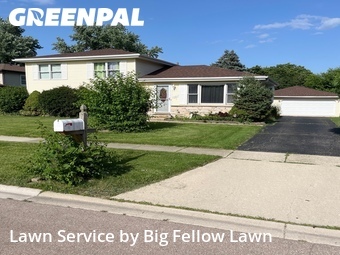 Lawn mowed in South Elgin, 60177