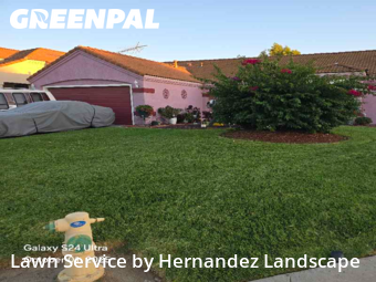 Work completed by affordable-lawn-services-in-Perris-CA