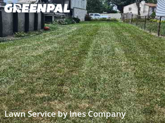 Lawn Mowingin Orland Park,60462,Grass Cutting by Ines Company, work completed in Dec , 2025