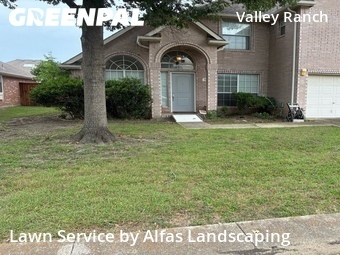 Yard Cutting nearby Irving, TX, 