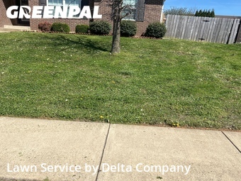 Lawn Cutting nearby Bowling Green, KY, 