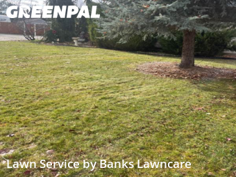 Yard Mowing nearby Meridian, ID, 