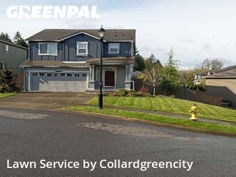 Lawn Care Service nearby Lacey, WA, 