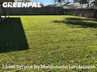 Lawn Cut nearby Sugar Land, TX, 