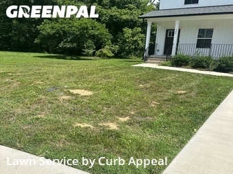 Lawn Mowing Service nearby Concord, NC, 