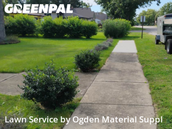 Lawn Care nearby Worth, IL, 