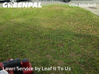 Lawn Cut nearby Tallahassee, FL, 