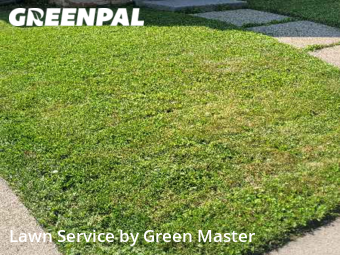 Lawn Mow nearby Dearborn, MI, 