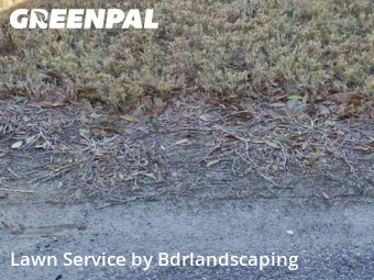 Yard Management in Charleston, 29412, Lawn Cutting by Bdrlandscaping, work completed in Dec , 2025