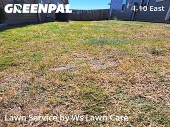 Lawn Cut nearby Converse, TX, 