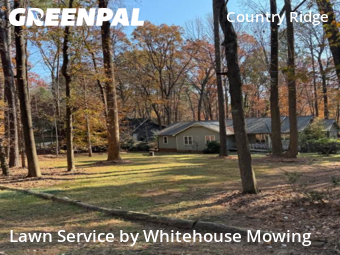 Lawn Mowing nearby Raleigh, NC, 