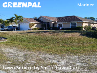 Grass Cut nearby Cape Coral, FL, 