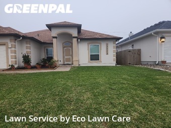 Lawn Care nearby Corpus Christi, TX, 