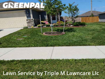 Lawn Servicein Blue Springs,64014,Lawn Cut by Triple M Lawncare Llc, work completed in Nov , 2025