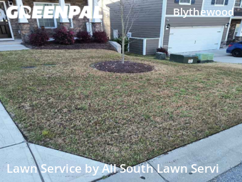 Lawn Cutting nearby Blythewood, SC, 