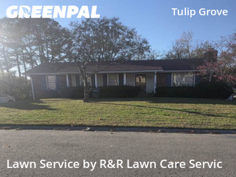 Yard Cutting nearby Nashville, TN, 