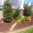 local-lawn-maintenance-contractors-in-Ashburn-VA