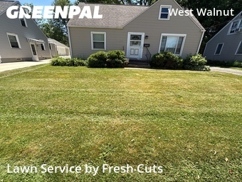 Lawn Mow nearby Painesville, OH, 