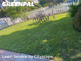 Grass Cut nearby Seattle, WA, 