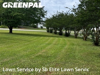 Lawn Care nearby Mc Donough, GA, 