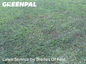 Lawn Mow nearby Fairburn, GA, 