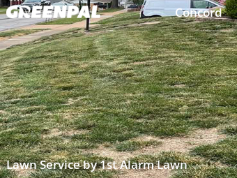 Grass Cut nearby St. Louis, MO, 