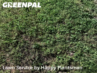 Yard Upkeep in Huber Heights, 45424, Lawn Care by Happy Plantsman, work completed in Oct , 2025