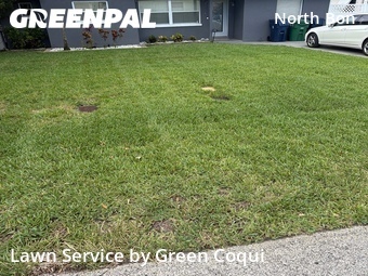 Lawn Mow nearby Tampa, FL, 