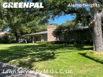 Lawn Mowing Servicein Alamo Heights,78209,Lawn Maintenance by M.Q.L.C. Llc., work completed in Dec , 2025