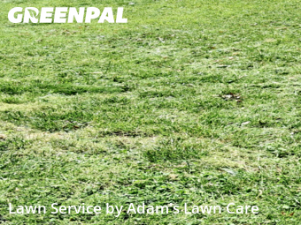 Lawn Mow nearby St. Louis, MO, 