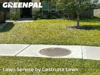 Lawn Maintenance nearby Pearland, TX, 