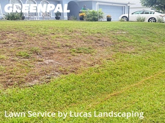 Lawn Maintenance nearby Palm Bay, FL, 