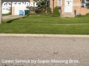 Grass Cut nearby Lansing, MI, 