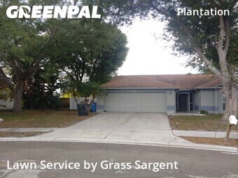 Grass Cut nearby Tampa, FL, 