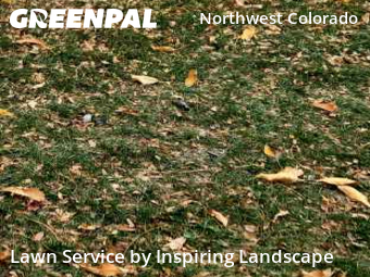 Lawn Cutting nearby Colorado Springs, CO, 