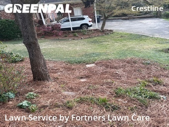 Yard Cutting nearby Birmingham, AL, 