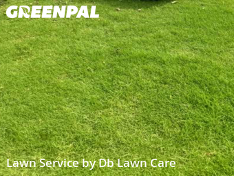 Grass Cutin Moore,73160,Lawn Mowing Service by Db Lawn Care, work completed in Feb , 2026