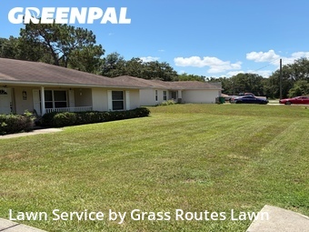 Grass Cutting nearby Ocala, FL, 