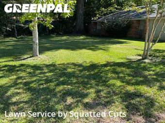 Yard Mowing nearby Lafayette, LA, 
