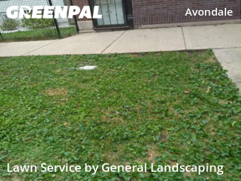 Grass Cut nearby Chicago, IL, 