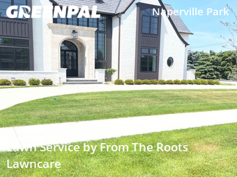 Lawn Care nearby Naperville, IL, 