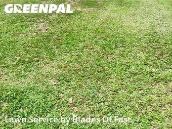 Grass Cutting nearby Griffin, GA, 