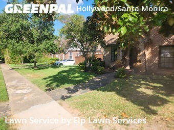 Lawn Cut nearby Dallas, TX, 