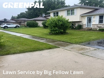Lawn mowed in South Elgin, 60177