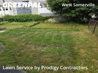 Lawn Care in Somerville, 2144, Weekly Mowing by Prodigy Contractors , work completed in Nov , 2025