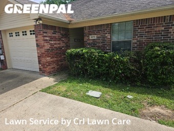 Grass Cut nearby Tyler, TX, 